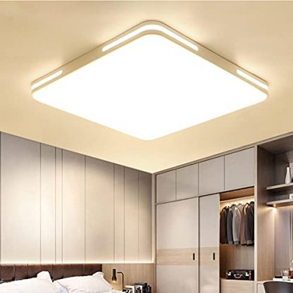 GDFGTH LISM LED Ceiling Light 3 Colors Dimmable 4000K-6000K 3 Color Temperature Can be Adjusted Minimalist Home lighting Hollow Transparent Design for Kitchen Living Room Bedroom and Hallway