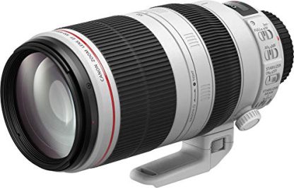 Canon EF 100-400mm f/4.5-5.6 L IS II USM Lens