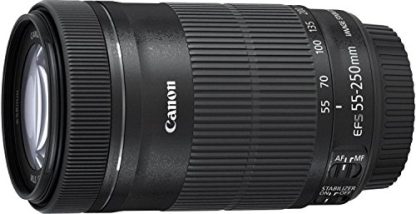 Canon EF-S 55-250mm f/4-5.6 IS STM (Retail Box) Lens